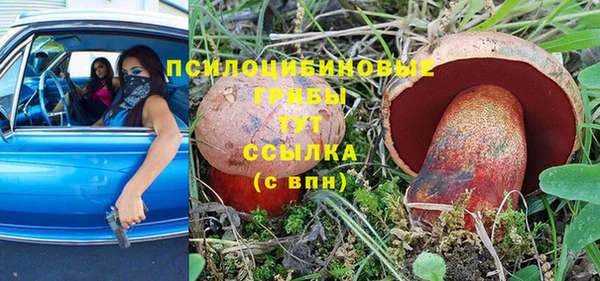 не бодяженный Магас